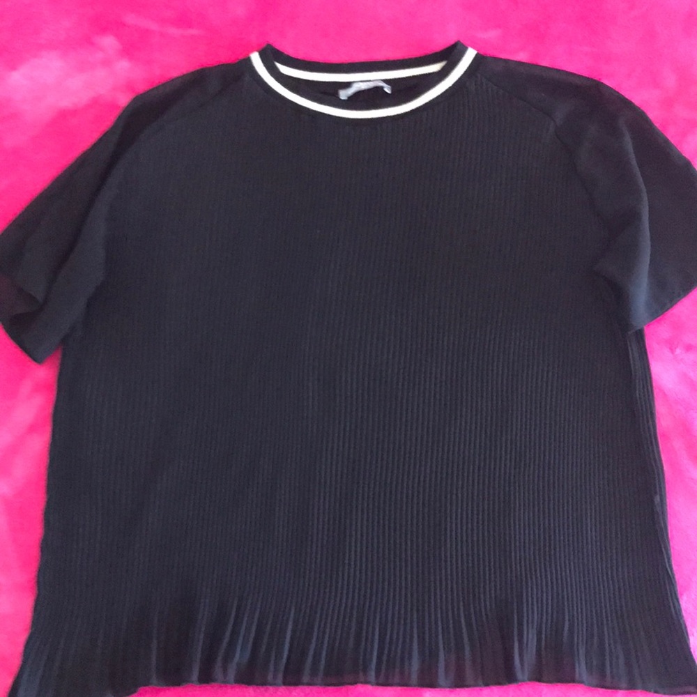 Pretty Black Sheer Zara Short Sleeve Blouse